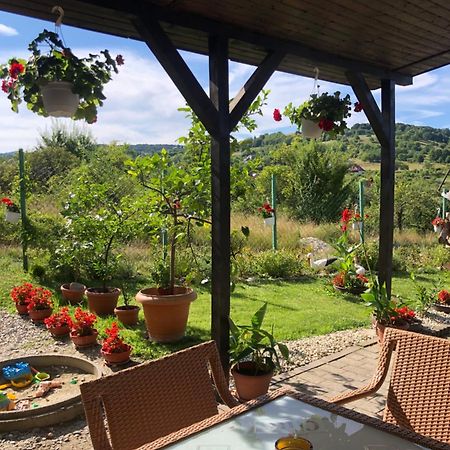 Pensiunea Casa Cu Flori Cisnădioara Extérieur photo