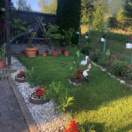 Pensiunea Casa Cu Flori Cisnădioara Extérieur photo