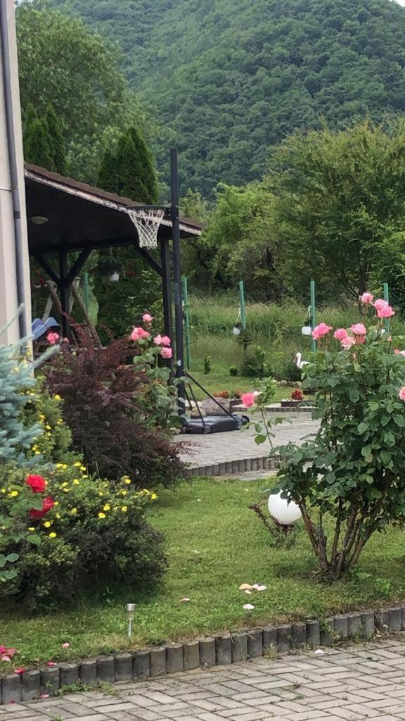 Pensiunea Casa Cu Flori Cisnădioara Extérieur photo