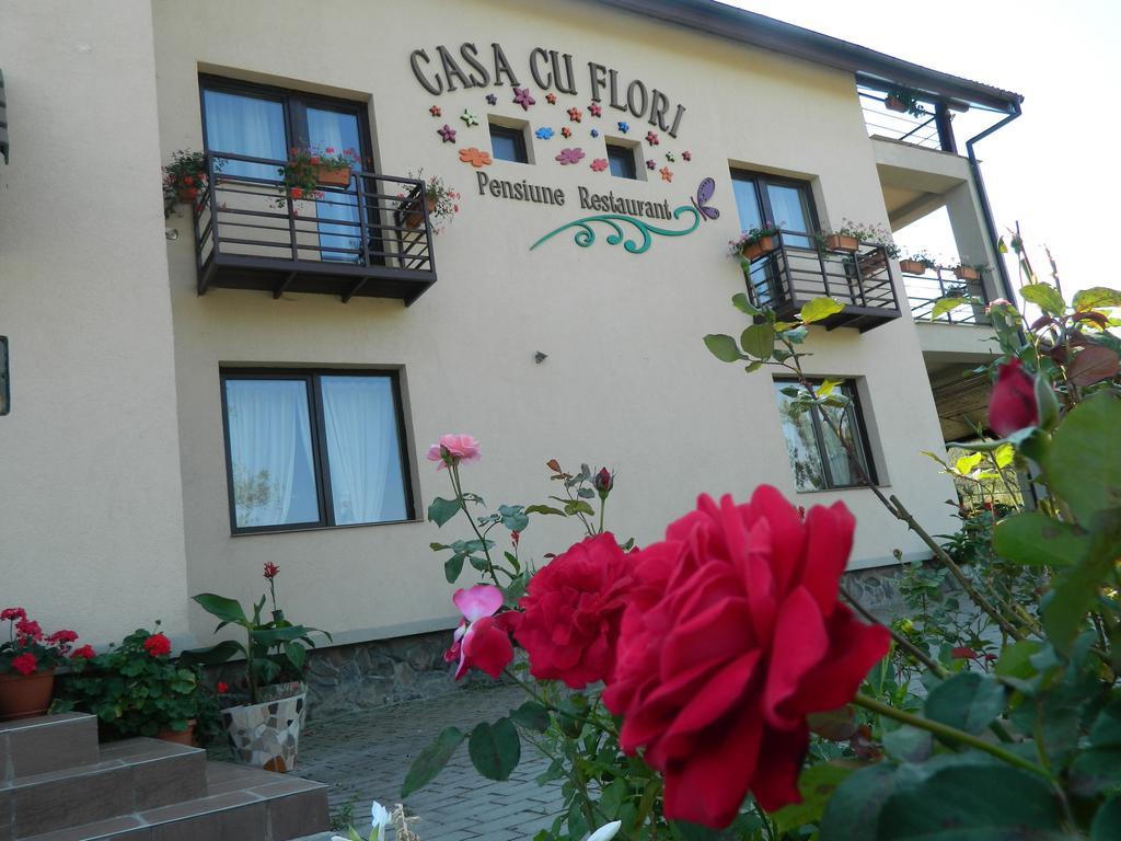 Pensiunea Casa Cu Flori Cisnădioara Extérieur photo