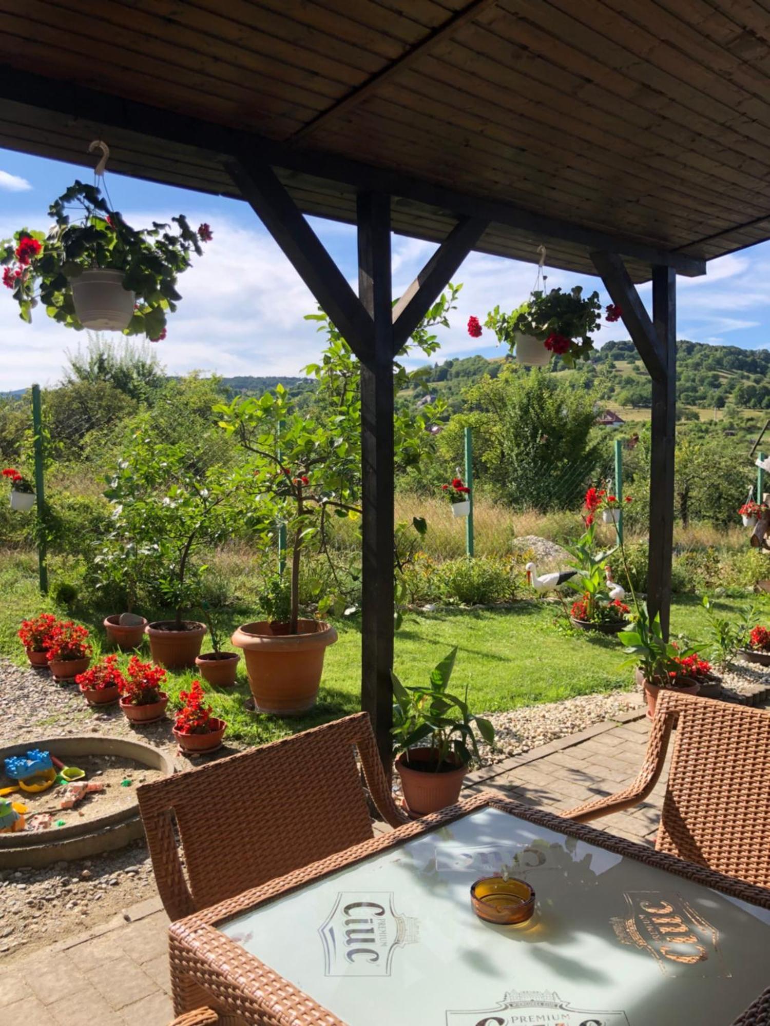 Pensiunea Casa Cu Flori Cisnădioara Extérieur photo