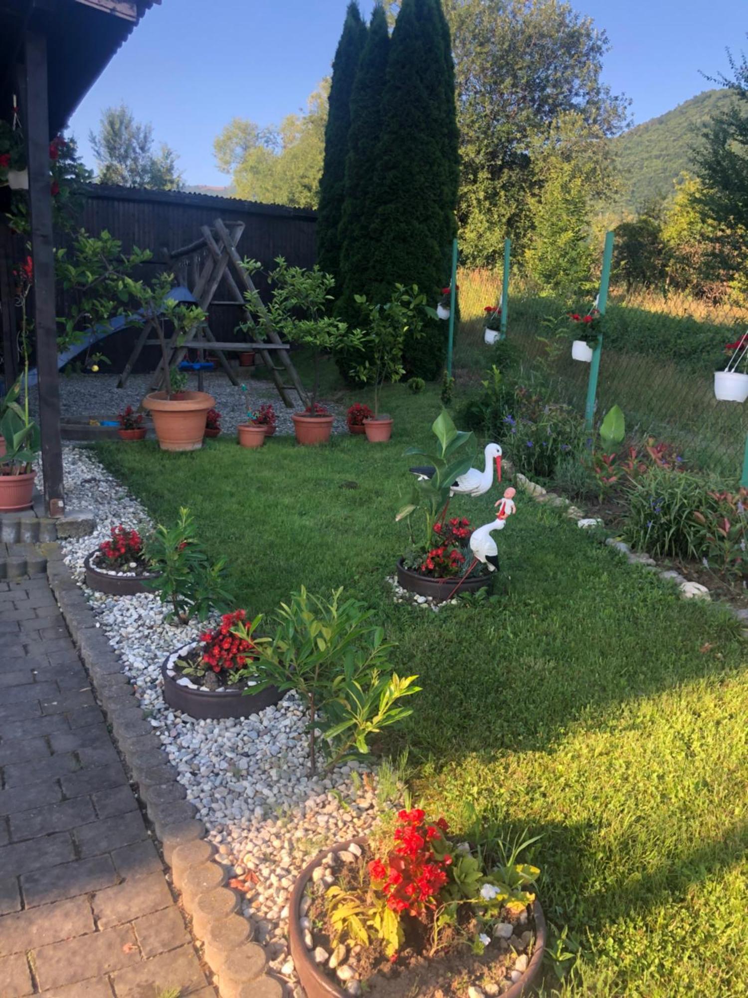 Pensiunea Casa Cu Flori Cisnădioara Extérieur photo