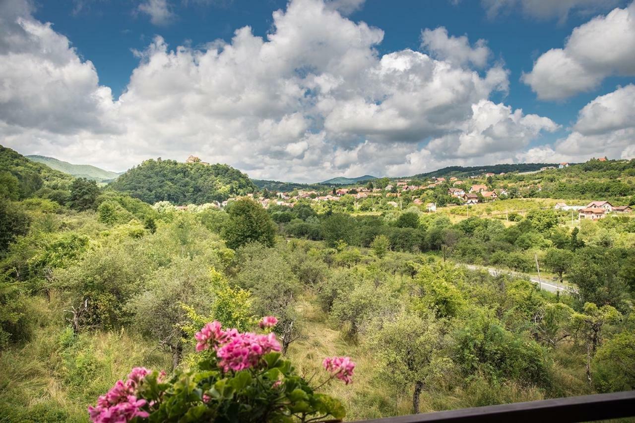 Pensiunea Casa Cu Flori Cisnădioara Extérieur photo