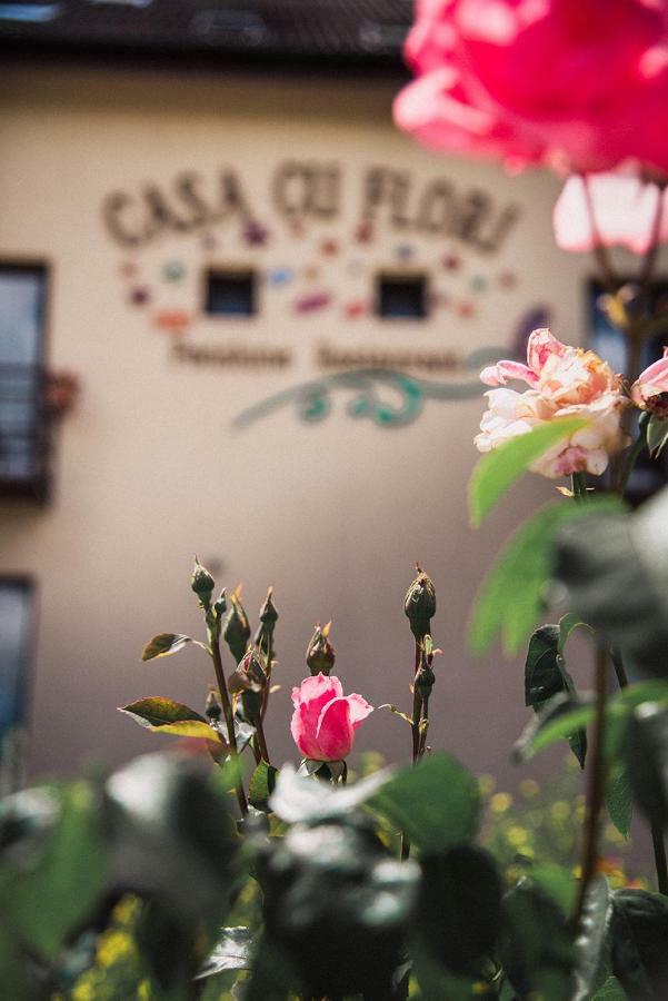 Pensiunea Casa Cu Flori Cisnădioara Extérieur photo