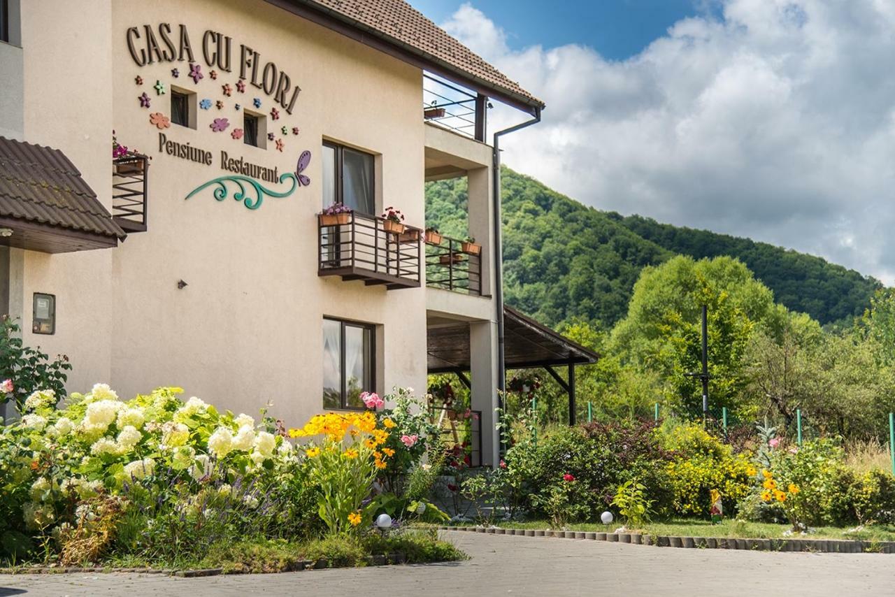 Pensiunea Casa Cu Flori Cisnădioara Extérieur photo