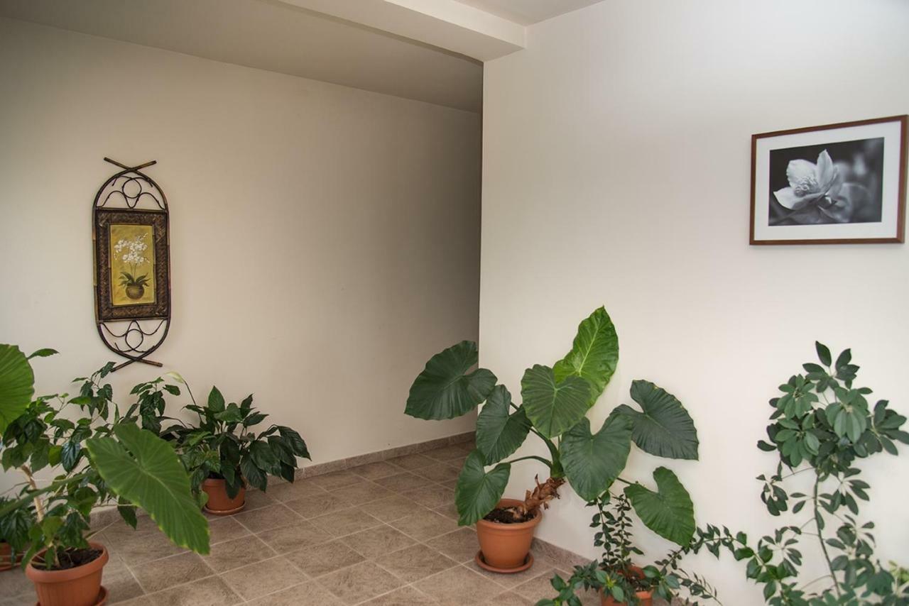 Pensiunea Casa Cu Flori Cisnădioara Extérieur photo