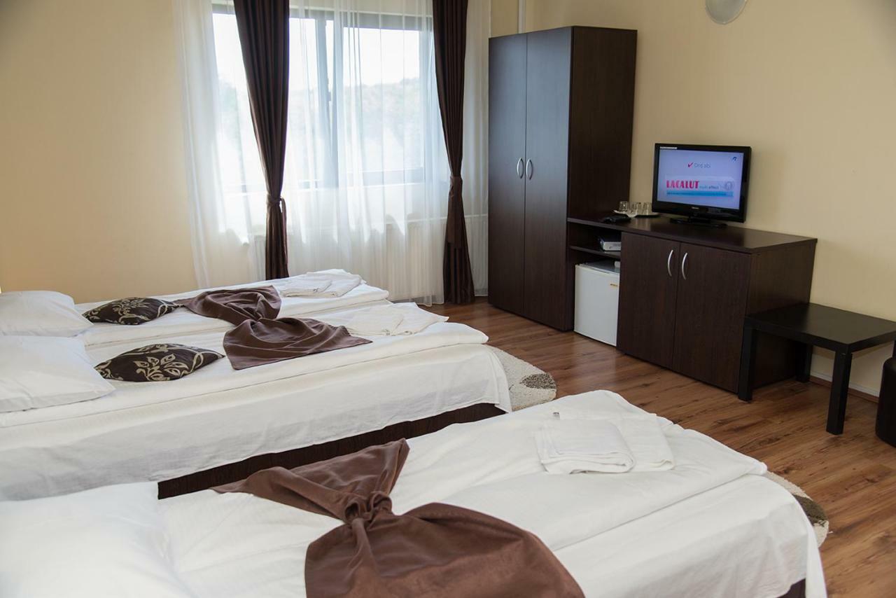 Pensiunea Casa Cu Flori Cisnădioara Extérieur photo