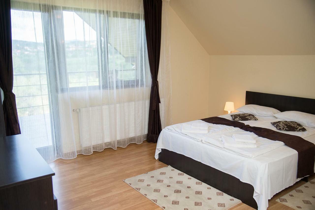 Pensiunea Casa Cu Flori Cisnădioara Extérieur photo